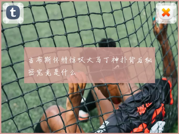 吉布斯怀特惊叹大马丁神扑背后秘密究竟是什么